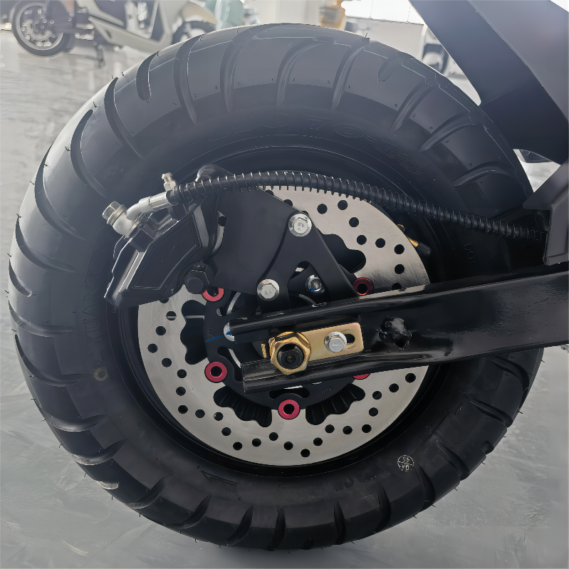 rear disc brake